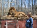 Tigers15.jpg